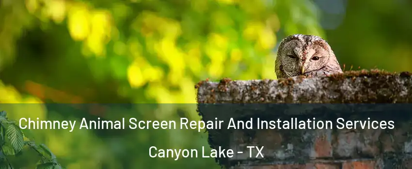  Chimney Animal Screen Repair And Installation Services Canyon Lake - TX