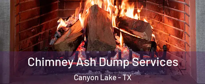  Chimney Ash Dump Services Canyon Lake - TX
