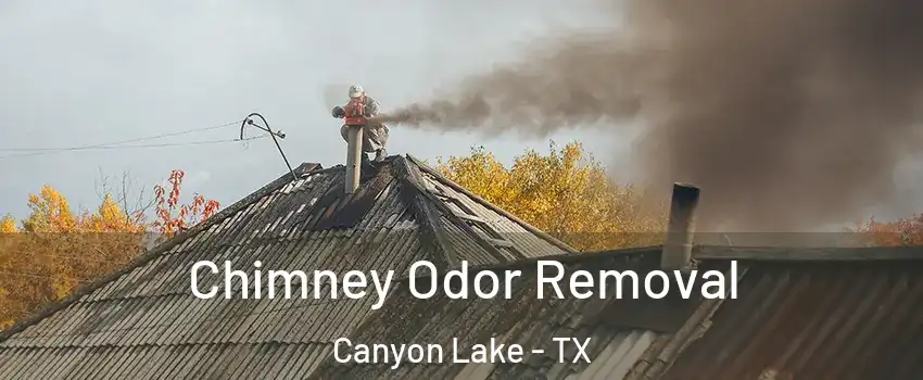  Chimney Odor Removal Canyon Lake - TX