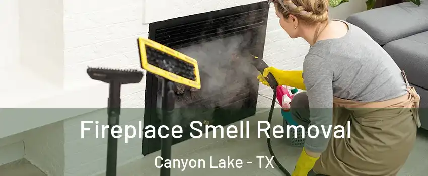  Fireplace Smell Removal Canyon Lake - TX