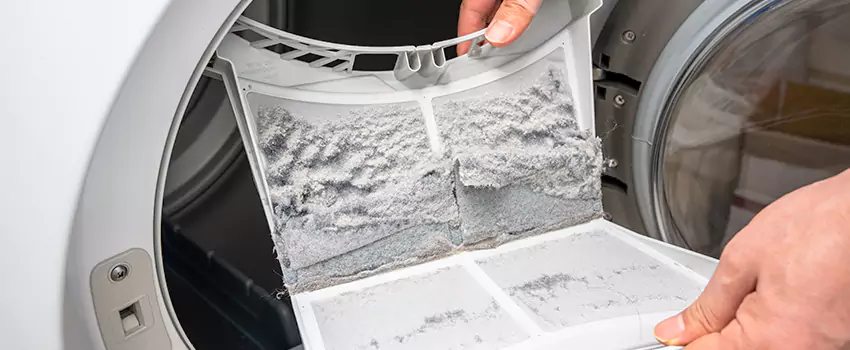 Best Dryer Lint Removal Company in Canyon Lake, Texas