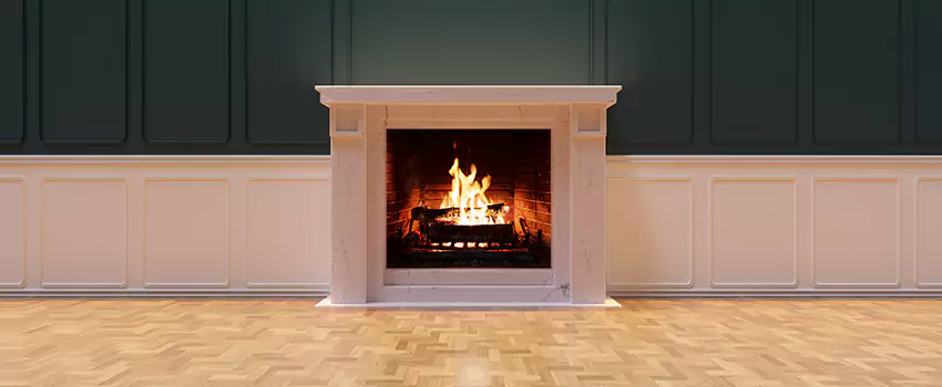 Napoleon Electric Fireplaces Inspection Service in Canyon Lake, Texas