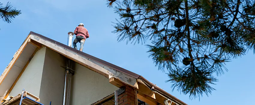 Birds Removal Contractors from Chimney in Canyon Lake, TX