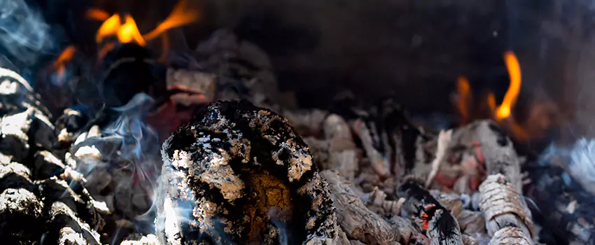 Creosote Removal Experts in Canyon Lake, TX