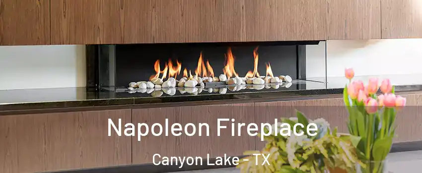  Napoleon Fireplace Canyon Lake - TX