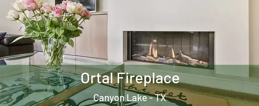  Ortal Fireplace Canyon Lake - TX